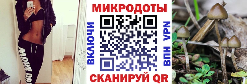 Галлюциногенные грибы мицелий  Старый Крым 